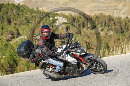 izoard_176536.jpg