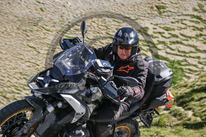 colizoard30859.jpg
