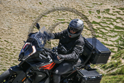 colizoard31095.jpg