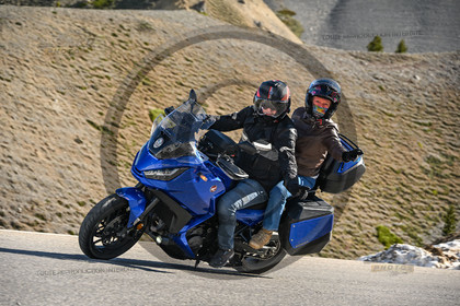 IzoardPhotos2229.jpg