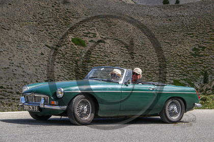 colizoard19776.jpg