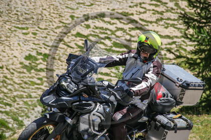 colizoard31318.jpg